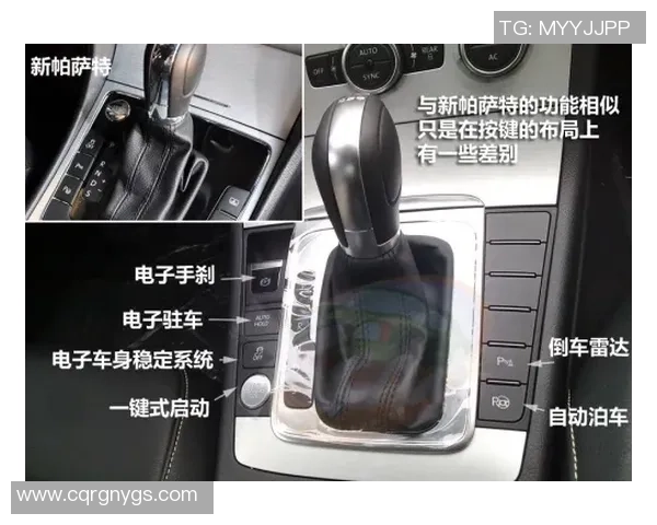 独家解析LNG灵活性优势与市场动态的深度对比分析